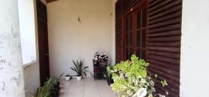 Green Jade Inn Galle