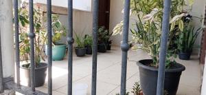 Green Jade Inn Galle