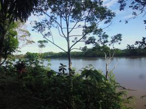 Tambopata River