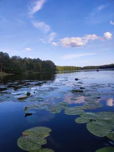 Domek letniskowy Nad Mrowinkiem