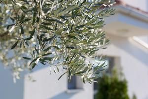 Villa Miracle 2 with heated pool