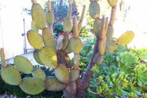 Maisons de vacances Nice house with private pool : photos des chambres