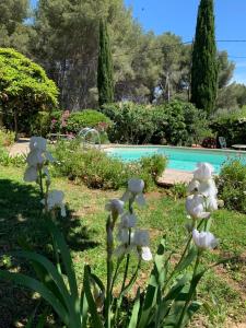 Maisons de vacances Nice house with private pool : photos des chambres