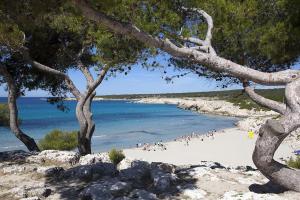 Appartements A 100m de la plage - Vue mer - Climatise : Appartement 2 Chambres