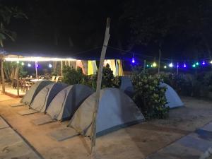 Tusker Tribe Hostel