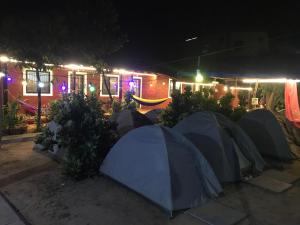 Tusker Tribe Hostel