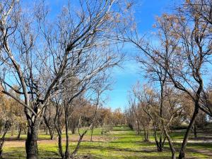 Marina Casa Vacanza img18