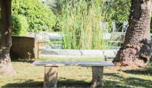 Casa Gelsomino POOL&SEAVIEW