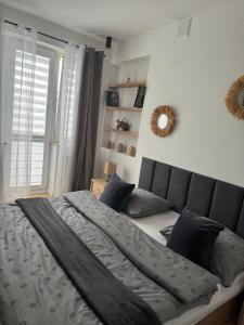 MW 5 Apartament