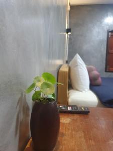 Minds Homestay มายด์โฮมสเตย์