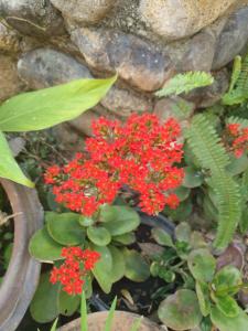 Minds Homestay มายด์โฮมสเตย์