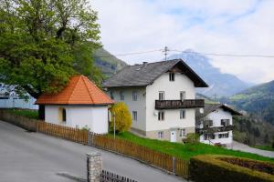 obrázek - First Mountain - Wenns