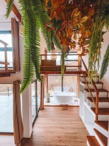 Armonia by NorAtlas Heritage - Adults Only