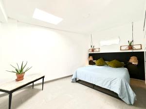 NUEVO Casco Antiguo, playa y castillo