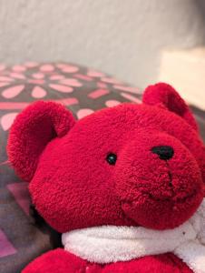 La bi-coque du Courtgain