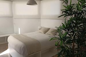 Salitre Málaga Center