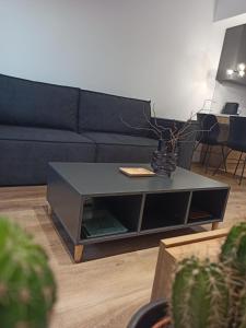 Urban Arena Apartment