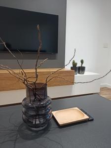 Urban Arena Apartment