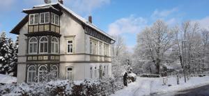 Ferienwohnung im Kunst- und Logierhaus Villa Ihler