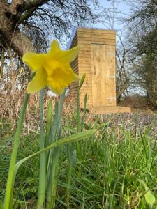 The Deer Hut at Carr House Farm