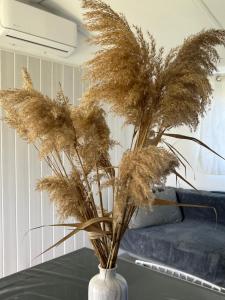 Fermes les bungalows de Lisa Maria : photos des chambres