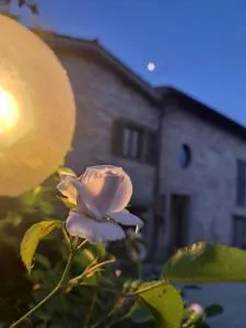 Agriturismo Il Raggio di sole di Orpello - Fiordimonte