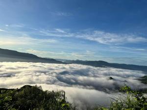 Mây và Mây - Homestay Măng Đen