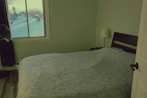 Cozy 2BR in VieuxLongueuil +parking 14min Downtown
