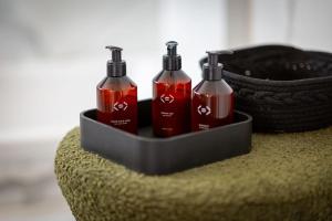 Appartement balnéo centre