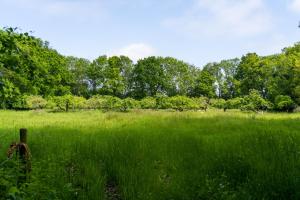 Koetshuis Buitenplaats Iepenoord