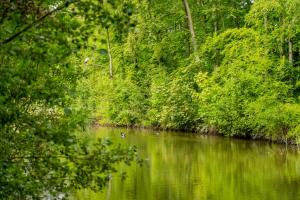 Koetshuis Buitenplaats Iepenoord