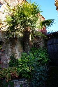 Maisons de vacances Gite Les Volets Bleus du Segur : photos des chambres