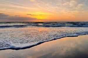 Patio Condo Poolside - Standard Sleeps 4 104