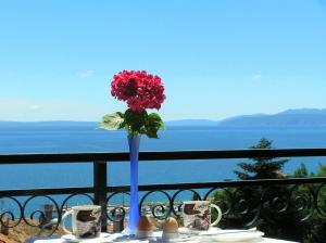 Guest House Lifestyle Holiday