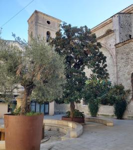 T3 Provençal à la Ciotat