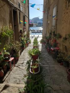 T3 Provençal à la Ciotat