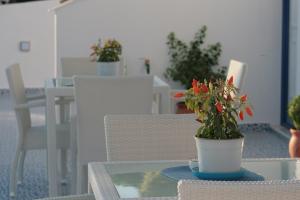 Bouganville Studios Stegna Rhodes Greece