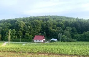 Domek pod lasem - Helusz