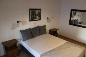 Captain Homer Studios