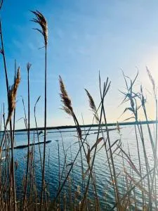 Casa Saline - Porto Clementino