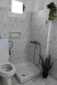 Captain Homer Studios