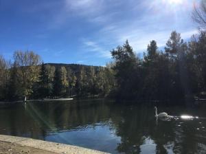 Appartements Ideal Parejas - Tranquilidad y Naturaleza en Osseja - Vistas al Lago - Parking Privado : photos des chambres