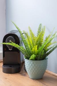 Wilaneska Apartment by BookingHost