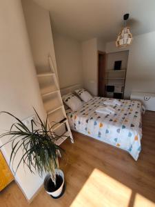 Ideal Parejas - Tranquilidad y Naturaleza en Osseja - Vistas al Lago - Parking Privado