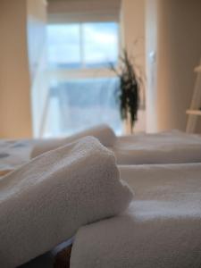 Appartements Ideal Parejas - Tranquilidad y Naturaleza en Osseja - Vistas al Lago - Parking Privado : photos des chambres