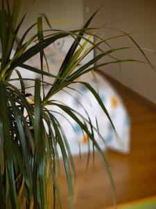 Ideal Parejas - Tranquilidad y Naturaleza en Osseja - Vistas al Lago - Parking Privado