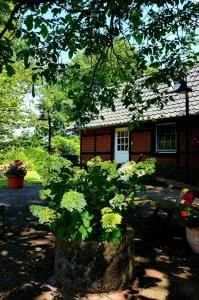 明斯特兰德小屋旅馆 - Nordwalde