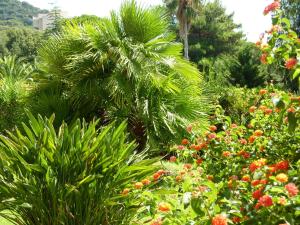 Hotels Hotel La Pinede : photos des chambres
