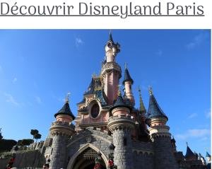 Villas Proche Paris et Disney-calme absolu : photos des chambres