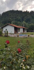 Комплекс Антик